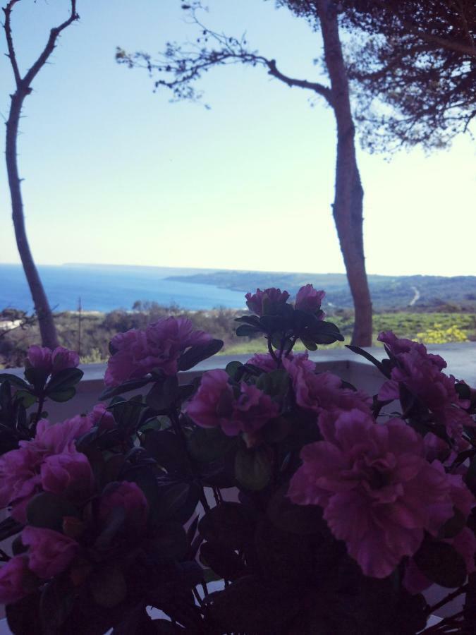 Villa Alda - Bilocali Vista Mare Santa Cesarea Terme Eksteriør bilde