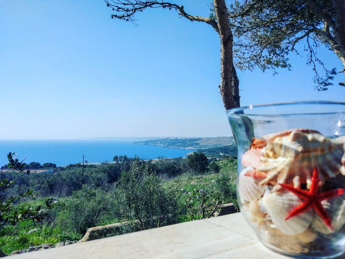 Villa Alda - Bilocali Vista Mare Santa Cesarea Terme Eksteriør bilde