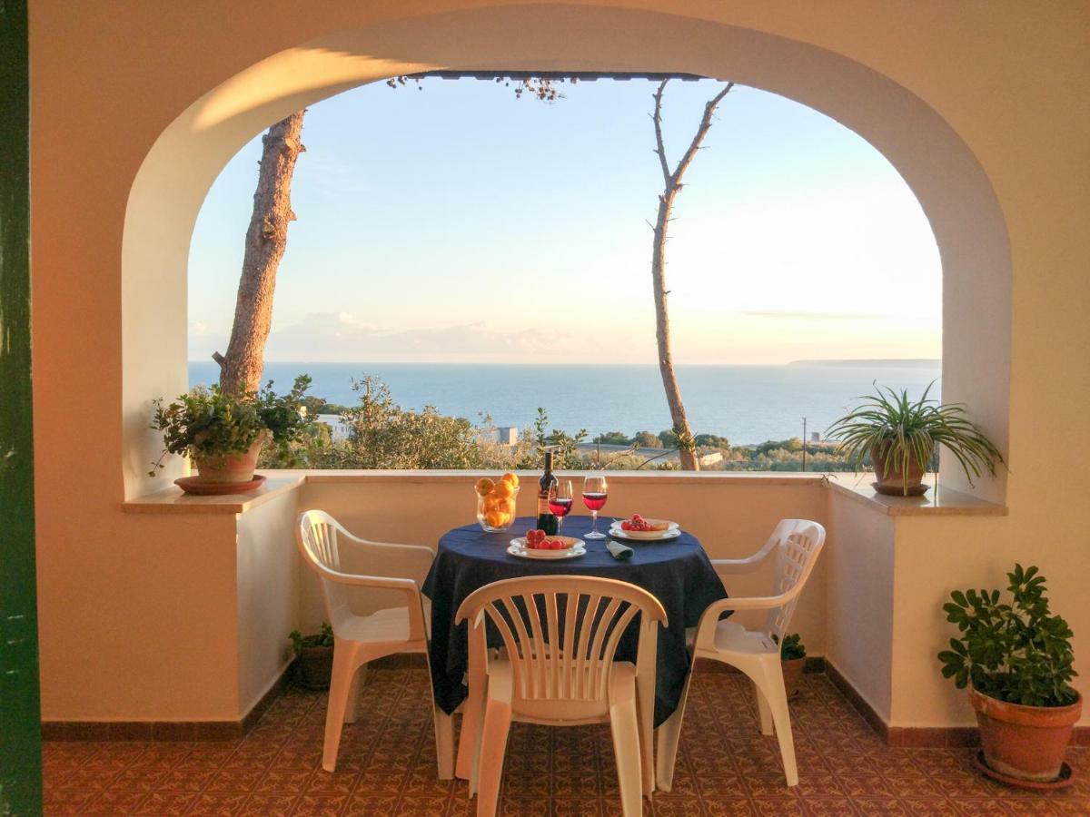 Villa Alda - Bilocali Vista Mare Santa Cesarea Terme Eksteriør bilde